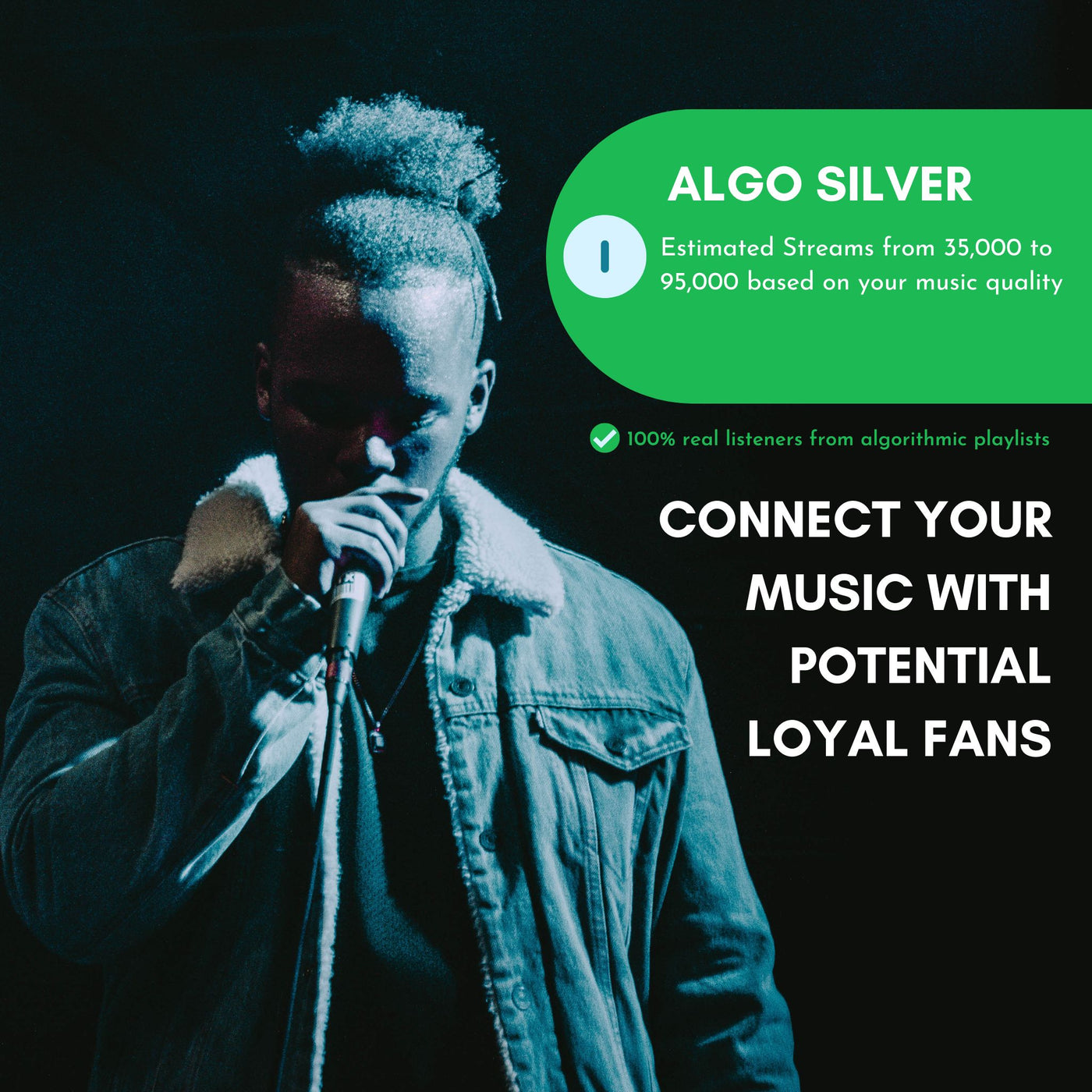 Spotify Algorithmic Advertising SILVER