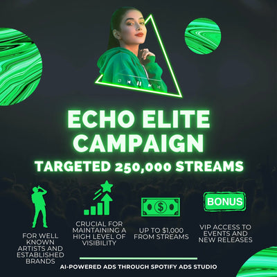 Spotify Advertising Campaign Packages