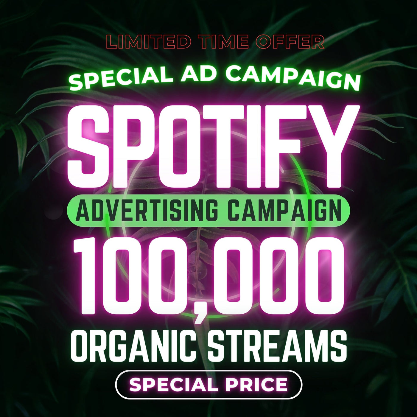 Special Spotify Ad Campaign up to 100,000 Streams